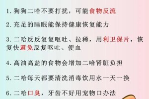 狗狗是否可以食用盐？（研究结果揭示狗狗与盐的关系）