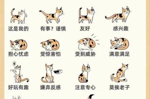 探索猫的深层意义（猫的存在与人类生活的交融）