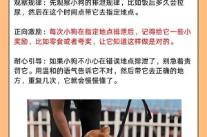 狗狗的训练时间表（训练狗狗的最佳时间和方法）