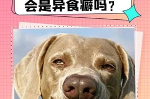 狗吃的草有哪些品种？（探究狗类常食用的草类植物以及它们的特点）