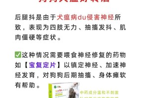 犬瘟症状详解（了解犬瘟症状，提早预防疾病）