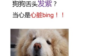 为什么狗会在炎热天气中伸舌头？（揭开狗伸舌头的原因和机制）