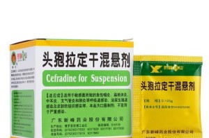 松鼠肺炎药物治疗指南（有效药物及其使用方法，帮助松鼠恢复健康）