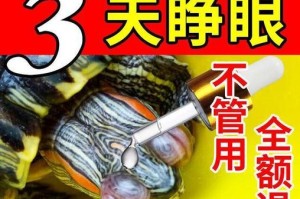 巴西龟肺炎的治疗方法（探索巴西龟肺炎的疾病特征与有效治疗方法）