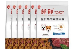五个月大吉娃娃的优质狗粮选择（满足成长需要的营养均衡食物推荐）