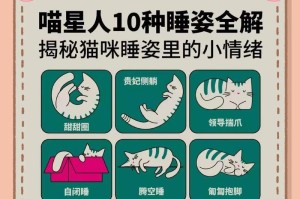揭秘猫咪睡觉位置，暴露对你的信任度！（从猫咪喜爱的睡姿看其与主人的亲密关系）