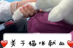 猫打完疫苗后多久可以吃药？（药物治疗与疫苗接种的时间间隔及注意事项）