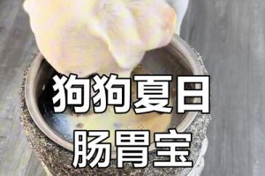 「营养调理，关爱肠胃」（「为宠物狗提供的几种可调理肠胃的食物」）