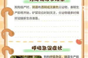 狗狗的生产周期及注意事项（从受孕到分娩，狗狗的生产周期有多长？如何顺利帮助狗狗生产？）