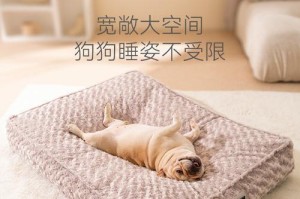 如何选择适合短毛狗的垫子（舒适可靠的垫子是短毛狗的最佳选择）