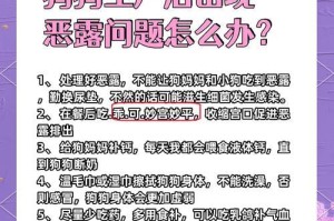 狗产后多久洗澡？（科学指导与注意事项）
