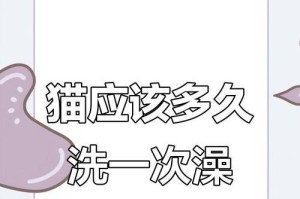 猫咪洗澡的频率和注意事项（探究猫咪洗澡的最佳时间和正确方法）