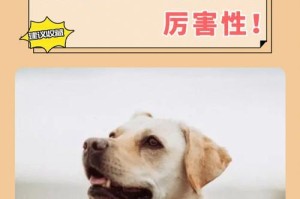 探究细小感染初期症状的原因与防控措施（揭示细小感染初期症状的病因与应对策略）