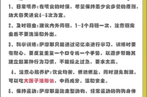 初次养萨摩耶的准备（从选狗到照顾，你需要了解这些）