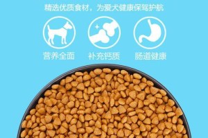 泰迪犬怀孕期间所需的关键营养（确保泰迪宝宝健康成长的重要营养品）