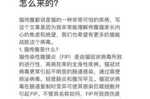 猫咪传腹症状（揭秘猫咪传腹症状及应对策略，让你成为最好的猫咪主人）