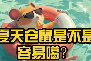 仓鼠夏天的欢乐时光（探索仓鼠在夏季的生活乐趣）