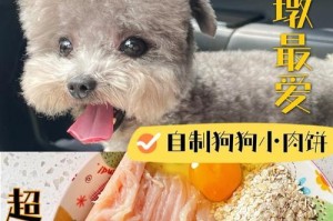 泰迪生产后的饮食需求及建议（营养均衡、易消化食物是泰迪产后饮食的首选）