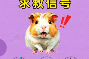 荷兰猪为何会一直叫？（探究荷兰猪的生活习性及其叫声原因）