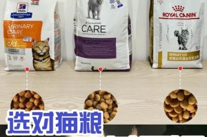 有效去除猫尿味的方法（清洁、消臭、预防，让家庭无猫尿味）