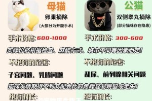 猫咪绝育的最佳时间是什么时候？（以健康状态稳定为主，6～8个月左右最适合绝育）