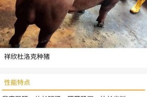 狗的精子存活能力之探究（从寿命到储存条件，揭秘狗的精子存活之谜）