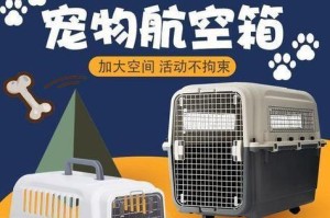 猫咪乘飞机的注意事项（保证猫咪舒适旅行的关键）