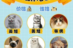 英国短毛猫分类及价格分析（探究英国短毛猫的品种和价格趋势）
