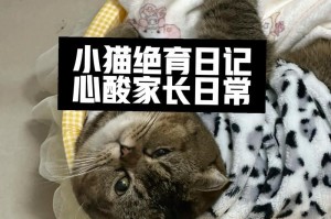猫咪节育（探讨猫咪节育手术后的效果及时间）