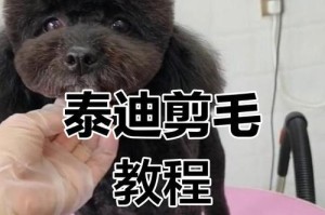 泰迪蘑菇头留多久才最美？（探寻泰迪蘑菇头发型的最佳时长）