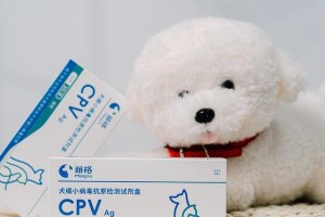 关于狗狗打疫苗的费用和体检频率（了解狗狗打疫苗的花费和体检时间）
