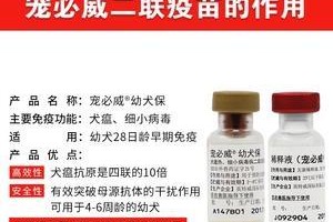细小治疗的有效药物及注意事项（探讨狗狗细小扎的治疗方法，保护我们的爱宠）