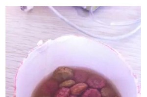 为什么狗粮不能用开水泡？（探究狗粮与开水相互作用的原因及对狗狗健康的影响）