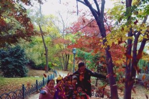 秋田的四季之美——色彩缤纷的秋天（以秋田生下来的色彩盛宴，令人陶醉不已）