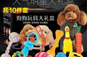 小狗为何会惊叫？（探讨小狗惊叫的原因及解决方法）