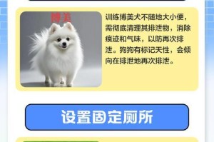 博美犬训练需要多久？（训练博美犬的时间长短取决于多种因素）