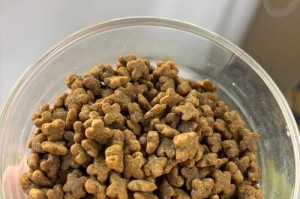 狗粮价格指南（了解狗粮价格的关键因素和如何选择适合的品质和价位）