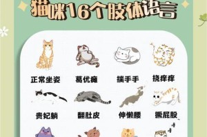 揭秘猫咪的九大肢体语言（了解猫咪的需求，与其更亲密）