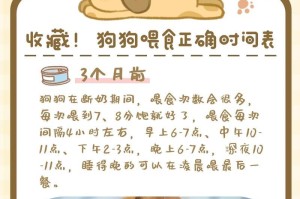 蛋黄对狗狗的作用及合理安排数量（蛋黄对狗狗的营养需求和健康益处）