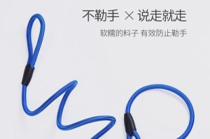 揭秘p子绳的神奇之处（探索p子绳的历史、结构与应用领域）