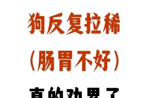 小狗拉肚子的原因及处理方法（小狗拉肚子的症状、病因和预防）