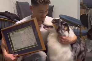 澳洲牧羊幼犬饮食指南（科学膳食养护你的牧羊犬）