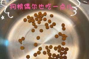 小狗产后饮食指南（为了母狗和幼犬的健康，细心照料至关重要）