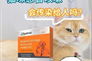 宠物猫感冒药物治疗指南（药物选择、用量和注意事项一网打尽）