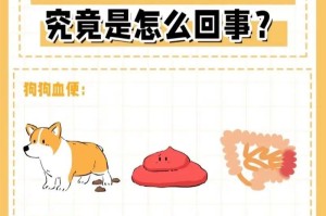 小狗拉血后需要多久才能康复？（了解小狗拉血的康复时间和关键因素）