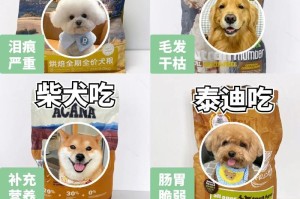 狗狗吃完狗粮多久吃药？（探究狗狗吃完狗粮后何时合适给予药物治疗）