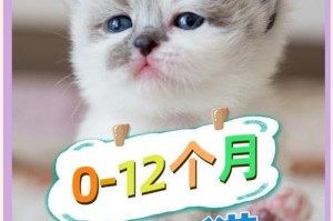 小奶猫断奶时间的选择（了解小奶猫断奶时间的重要性及适宜时期）