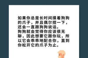 狗狗的爪子在你手中的神奇力量（探索狗狗把爪子给你的意义和好处）