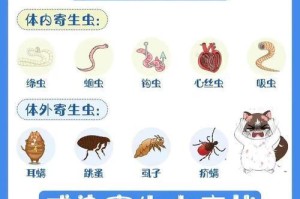 狗狗身体寄生虫的种类及预防方法（了解狗狗身体寄生虫的种类，提前预防保护它们的健康）