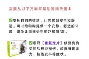 狗经常抽搐可能患有癫痫病（了解狗的癫痫病，及时帮助你的爱宠）